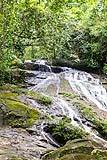 Lower Bocawina Falls Belize 2022